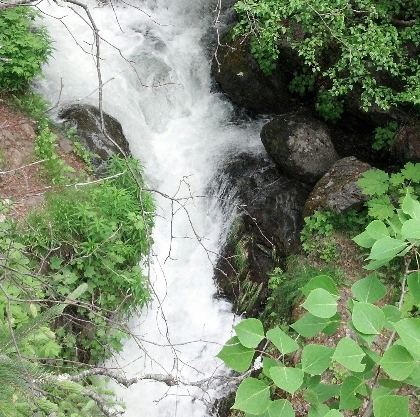 Amy’s Photos, Thoughts and Poetry